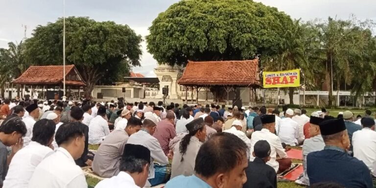 WhatsApp Image 2026-03-20 at 14.40.37