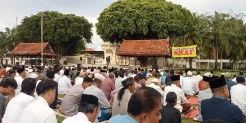 WhatsApp Image 2026-03-20 at 14.40.37