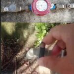 WhatsApp Image 2026-03-22 at 19.36.52