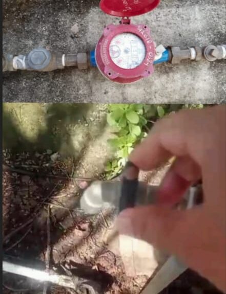 WhatsApp Image 2026-03-22 at 19.36.52