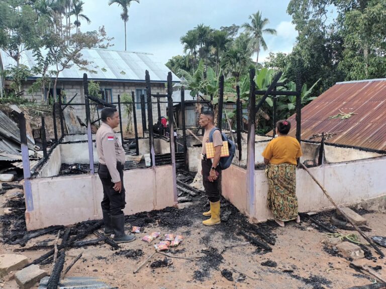 WhatsApp Image 2026-03-24 at 10.15.17