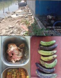 WhatsApp Image 2026-03-26 at 17.08.29