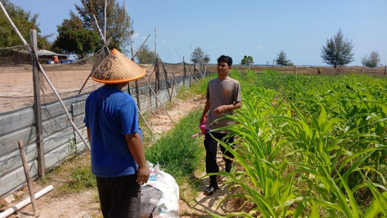 WhatsApp Image 2026-03-27 at 00.59.05