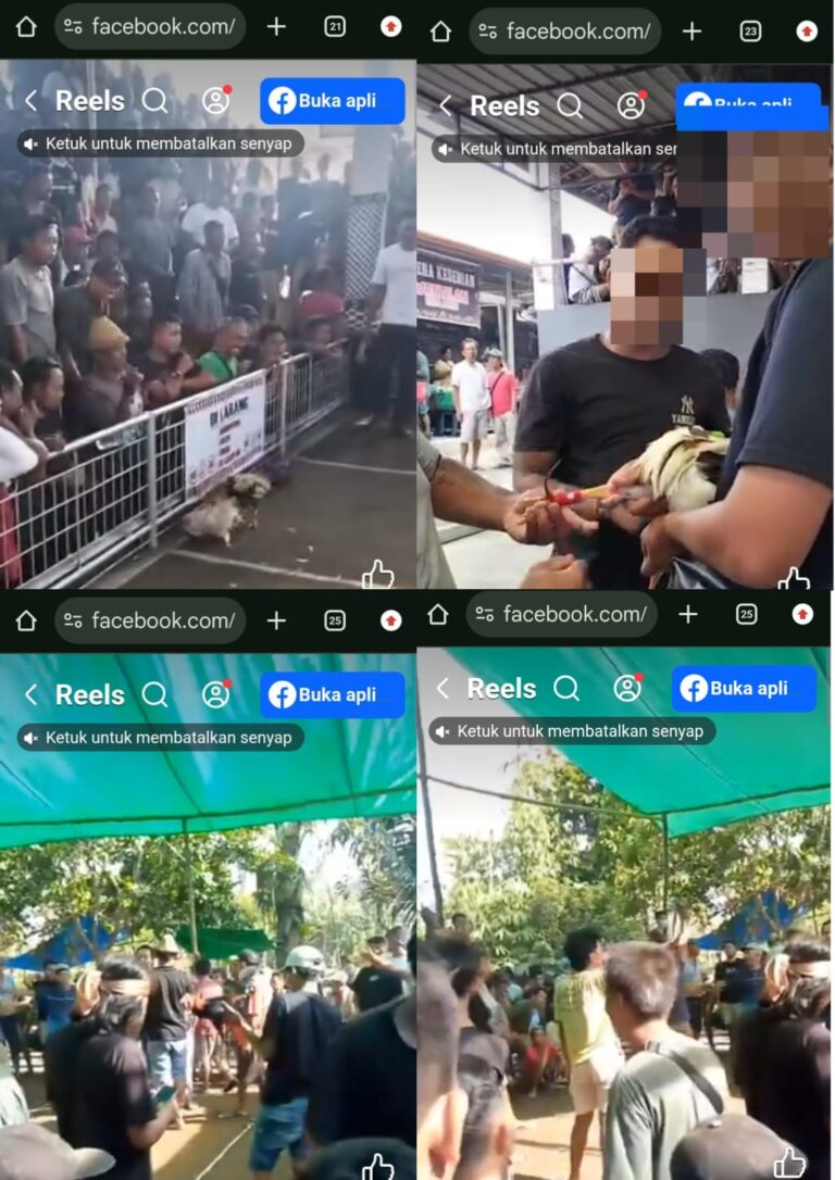 WhatsApp Image 2026-03-27 at 10.08.58