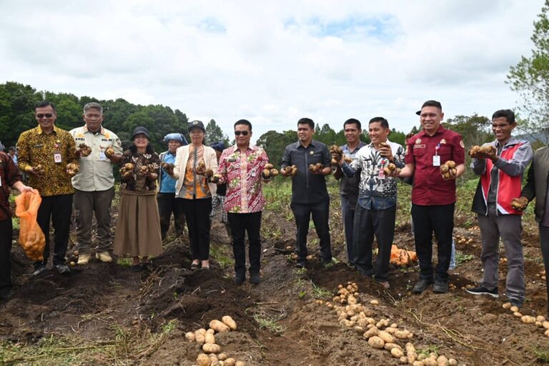 WhatsApp Image 2026-03-27 at 16.33.12