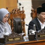 WhatsApp Image 2026-03-27 at 17.49.45