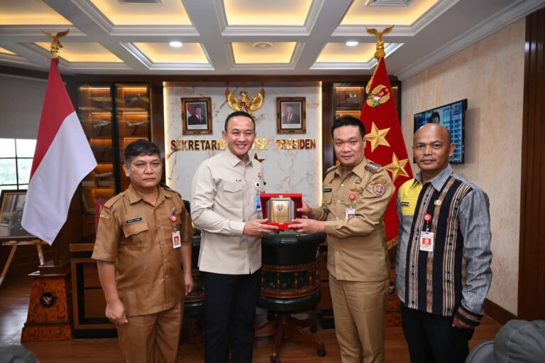 WhatsApp Image 2026-03-28 at 18.50.48