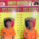 WhatsApp Image 2026-03-29 at 10.52.03