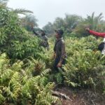 WhatsApp Image 2026-03-29 at 12.19.59