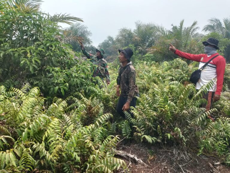 WhatsApp Image 2026-03-29 at 12.19.59