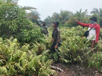 WhatsApp Image 2026-03-29 at 12.19.59