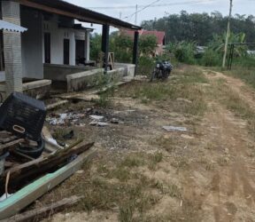 WhatsApp Image 2026-03-29 at 12.38.28