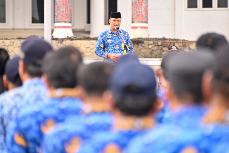 WhatsApp Image 2026-03-29 at 18.25.09