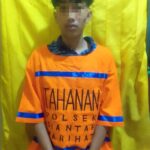 WhatsApp Image 2026-03-30 at 19.38.37 (1)