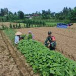 WhatsApp Image 2026-03-31 at 10.43.24