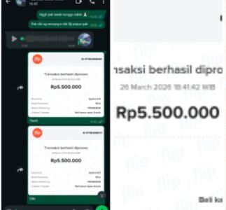 WhatsApp Image 2026-03-31 at 12.58.26