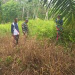 WhatsApp Image 2026-03-31 at 13.28.17