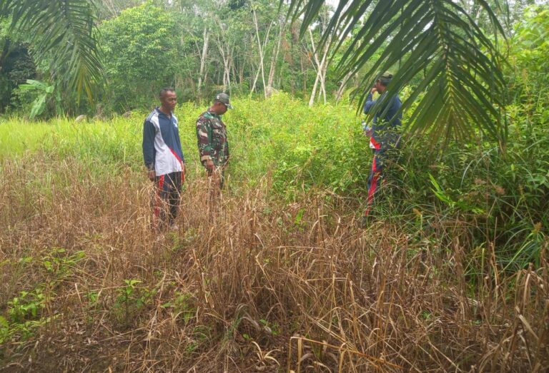 WhatsApp Image 2026-03-31 at 13.28.17