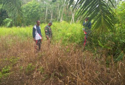 WhatsApp Image 2026-03-31 at 13.28.17