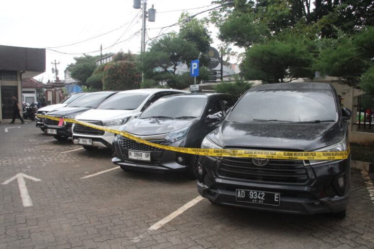 WhatsApp Image 2026-03-31 at 19.18.31 (1)