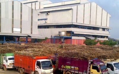 WhatsApp Image 2026-04-01 at 09.02.38