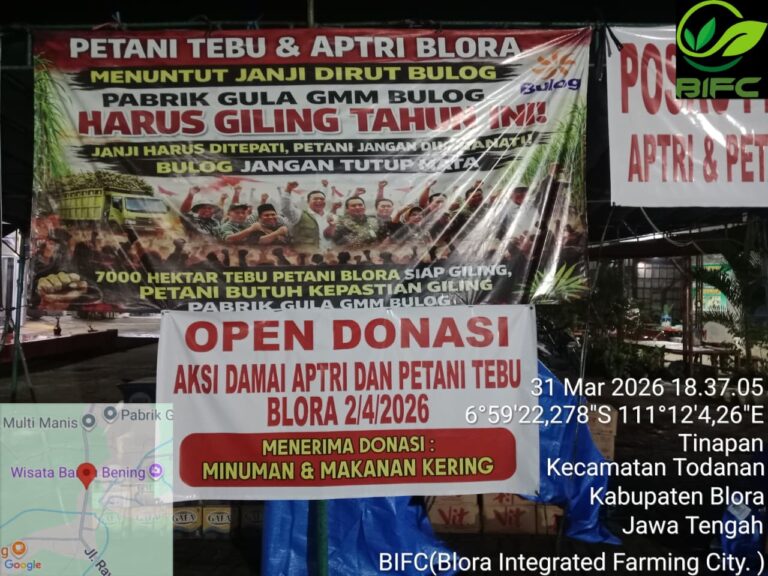 WhatsApp Image 2026-04-01 at 09.05.41