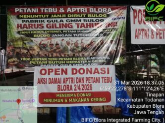 WhatsApp Image 2026-04-01 at 09.05.41