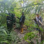 WhatsApp Image 2026-04-01 at 12.47.23