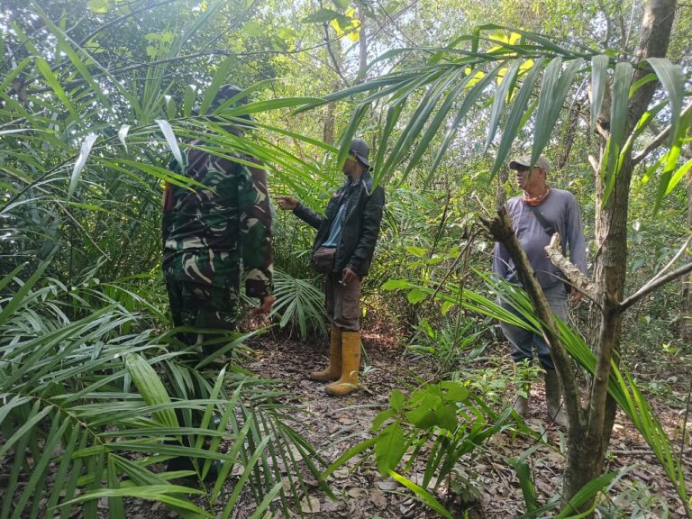 WhatsApp Image 2026-04-01 at 12.47.23