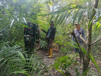 WhatsApp Image 2026-04-01 at 12.47.23