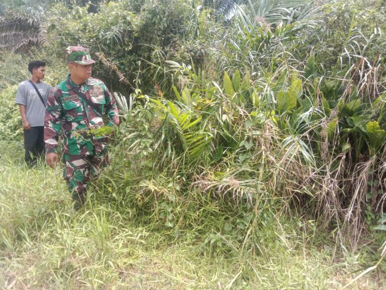 WhatsApp Image 2026-04-02 at 12.17.50 (1)