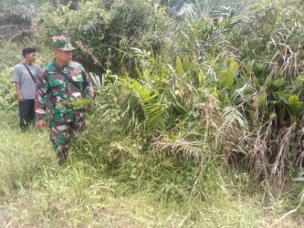 WhatsApp Image 2026-04-02 at 12.17.50 (1)