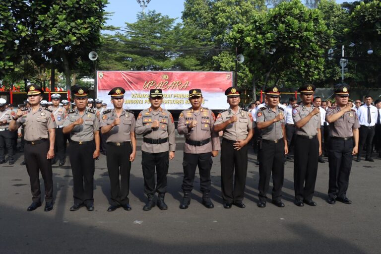 WhatsApp Image 2026-04-02 at 19.45.25