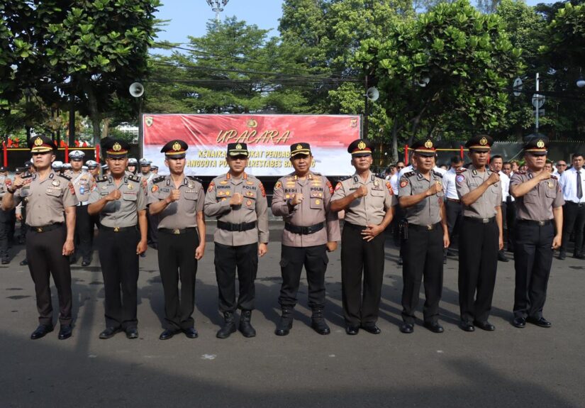 WhatsApp Image 2026-04-02 at 19.45.25