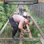 WhatsApp Image 2026-04-02 at 20.56.28