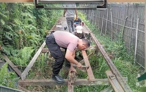 WhatsApp Image 2026-04-02 at 20.56.28