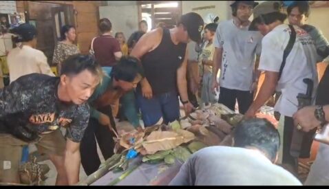 WhatsApp Image 2026-04-04 at 04.54.49