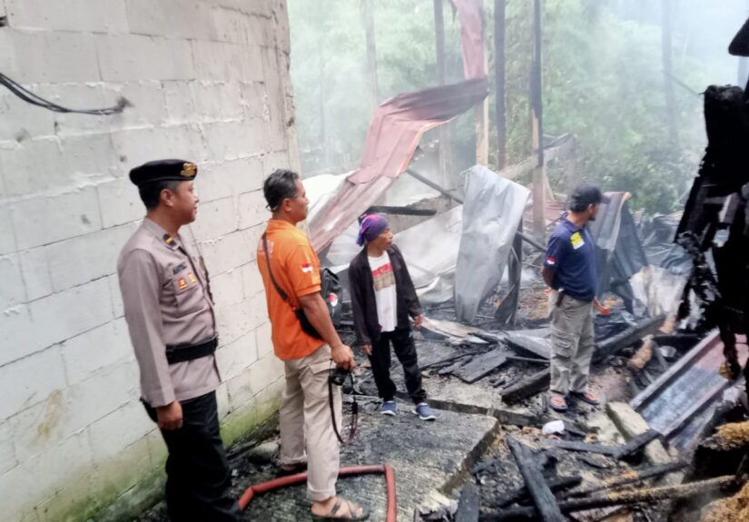 WhatsApp Image 2026-04-04 at 13.16.33