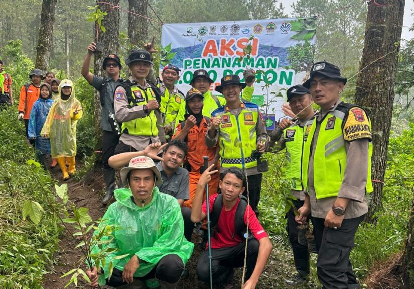 WhatsApp Image 2026-04-04 at 19.25.40