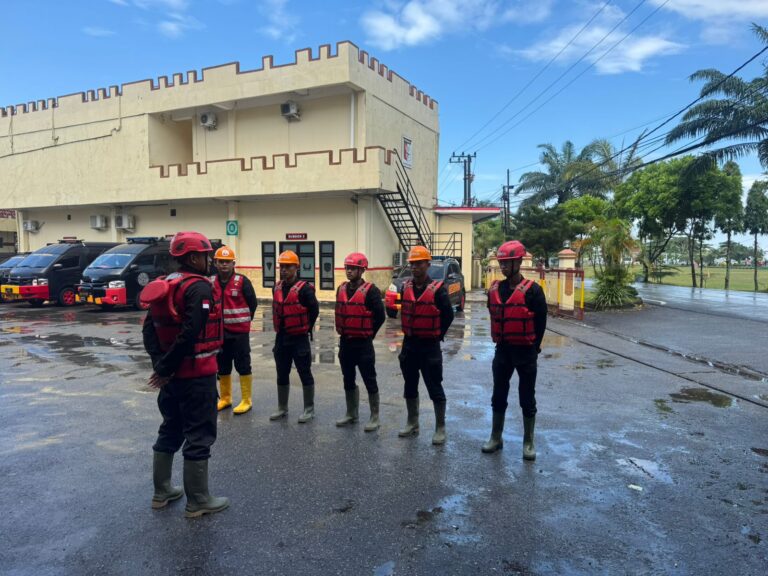 WhatsApp Image 2026-04-05 at 14.11.59