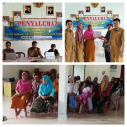 WhatsApp Image 2026-04-06 at 16.14.55