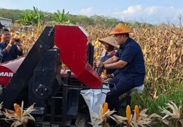 WhatsApp Image 2026-04-07 at 05.53.47