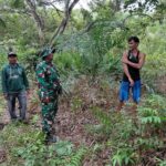 WhatsApp Image 2026-04-08 at 12.02.38