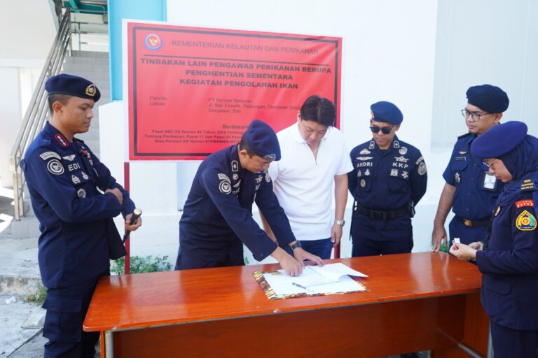 WhatsApp Image 2026-04-10 at 11.31.49