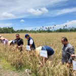 WhatsApp Image 2026-04-10 at 14.33.13