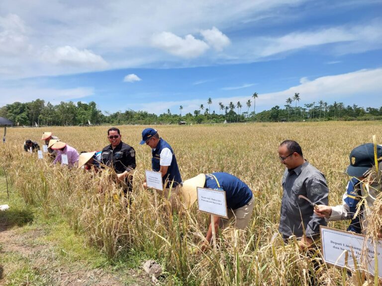 WhatsApp Image 2026-04-10 at 14.33.13