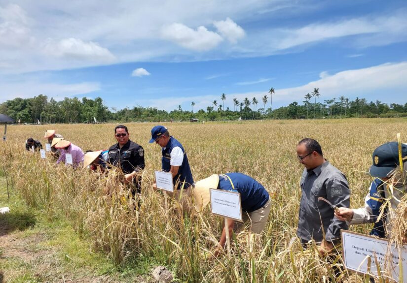 WhatsApp Image 2026-04-10 at 14.33.13