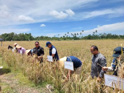 WhatsApp Image 2026-04-10 at 14.33.13