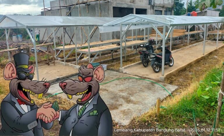 WhatsApp Image 2026-04-11 at 11.35.05