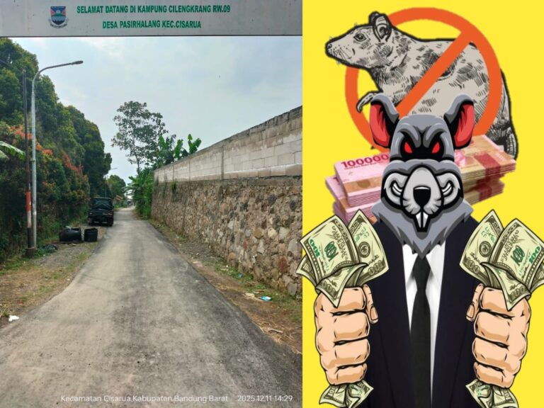 WhatsApp Image 2026-04-11 at 12.29.06